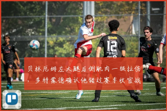 贝林厄姆左大腿后侧肌肉一级拉伤,多特蒙德确认他错过赛季收官战